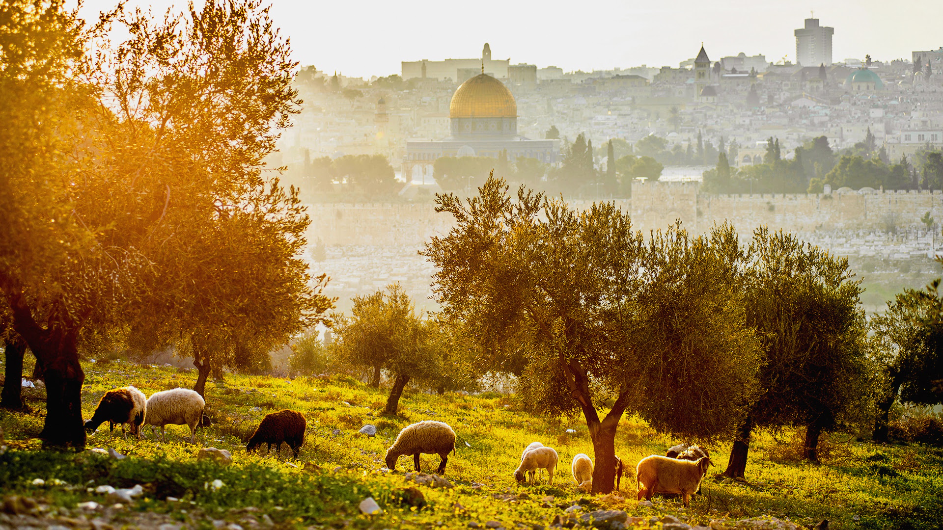 Excursion to Jerusalem and Bethlehem